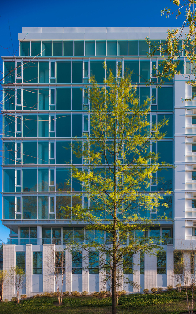 Tree outside of tall glass building