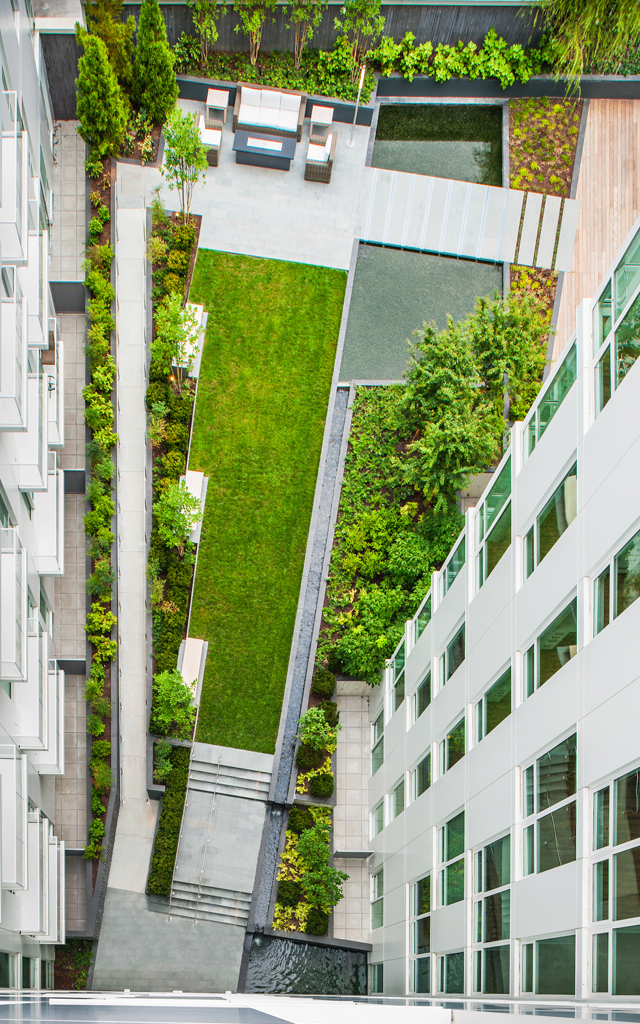 High view of garden, trees, and bright buildings