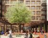 Large tree outside of building with large crowds